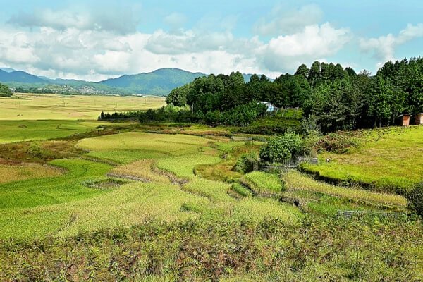 Ziro Trekking Tour